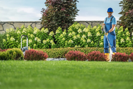 Top 5 Spring Landscaping Tips for Dayton Homeowners