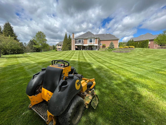 The Best Time to Fertilize Your Lawn in Dayton, OH