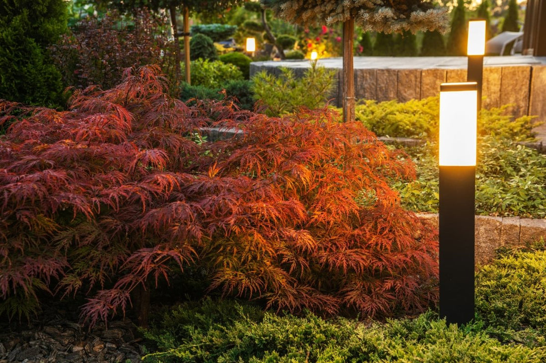 Professional Lighting Service in Dayton OH