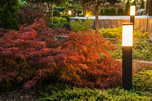 Professional Lighting Service in Dayton OH