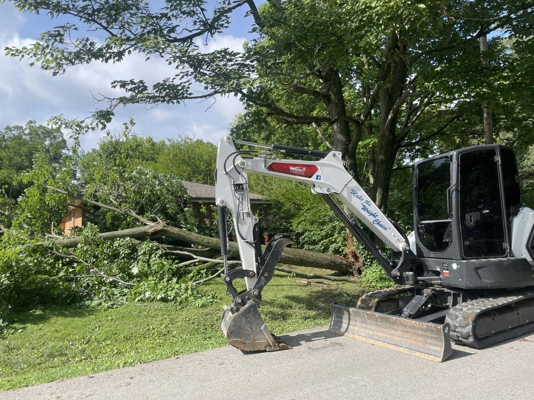 Expert Tree Removal & Care in Dayton, OH