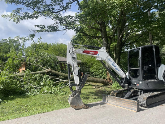 Expert Tree Removal & Care in Dayton, OH