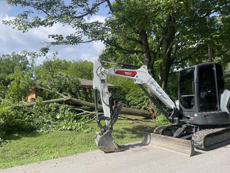 Tree Care & Removal for Homes & Businesses - My Store